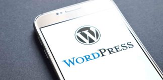 What You Need to Know about WordPress Plugins
