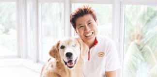 Tips for Organizing a Dog Party