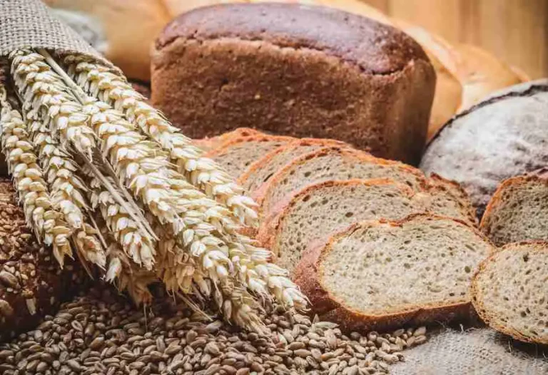 Importance of Gluten Intolerance Tests