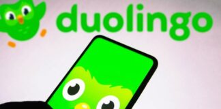 Duolingo Hits 10M Paid Subscribers on Math & Music Boom