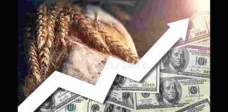 Commodity Markets Face New Supply Shock Across Metals and Food Crops